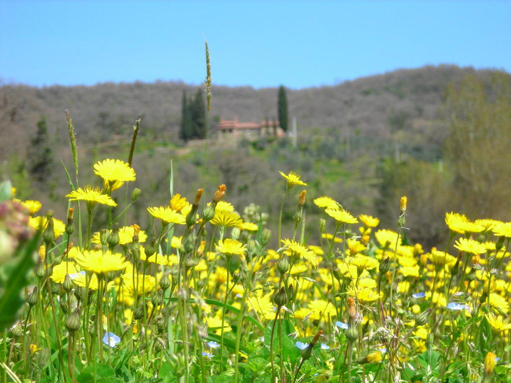 Allegro Agriturismo Argiano Ареццо Экстерьер фото