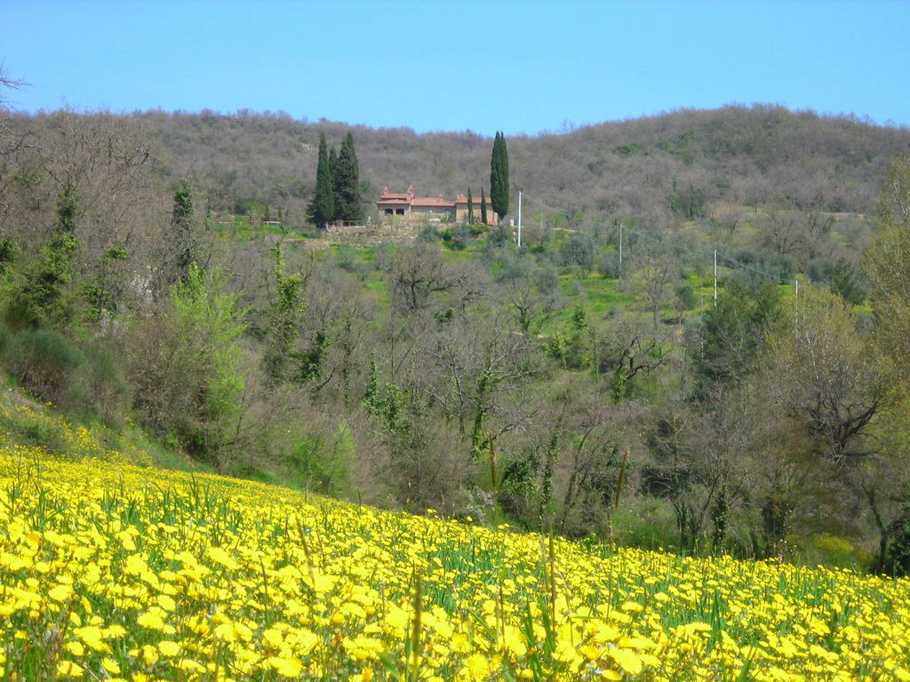 Allegro Agriturismo Argiano Ареццо Экстерьер фото