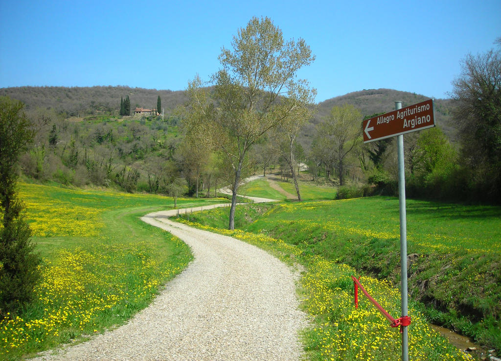 Allegro Agriturismo Argiano Ареццо Экстерьер фото