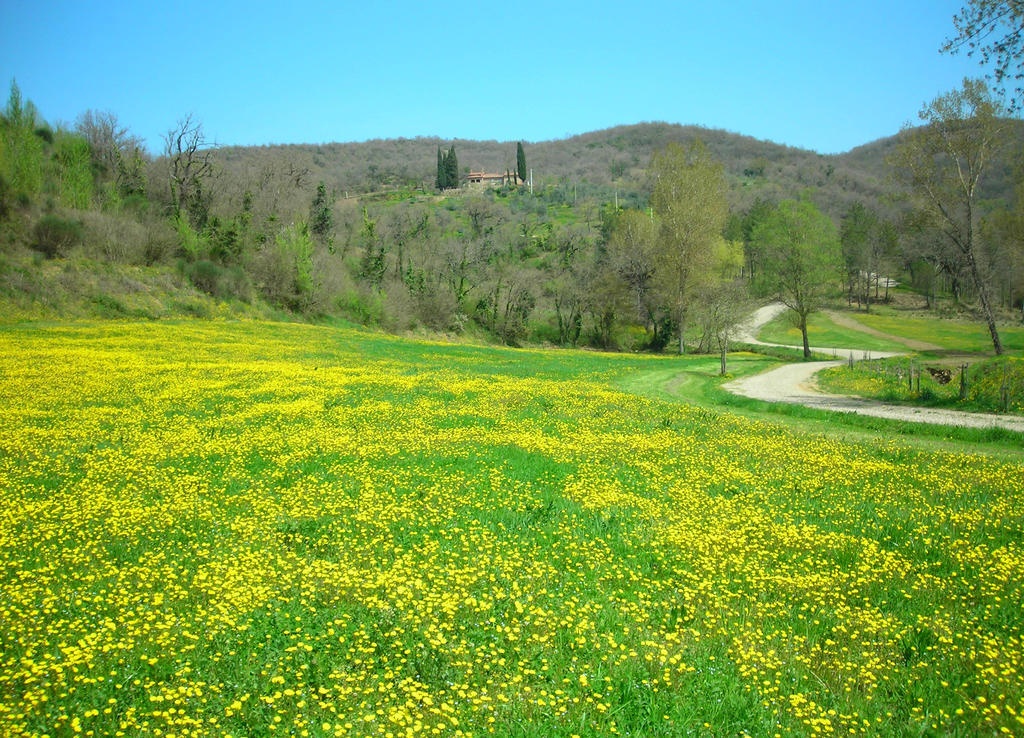 Allegro Agriturismo Argiano Ареццо Экстерьер фото