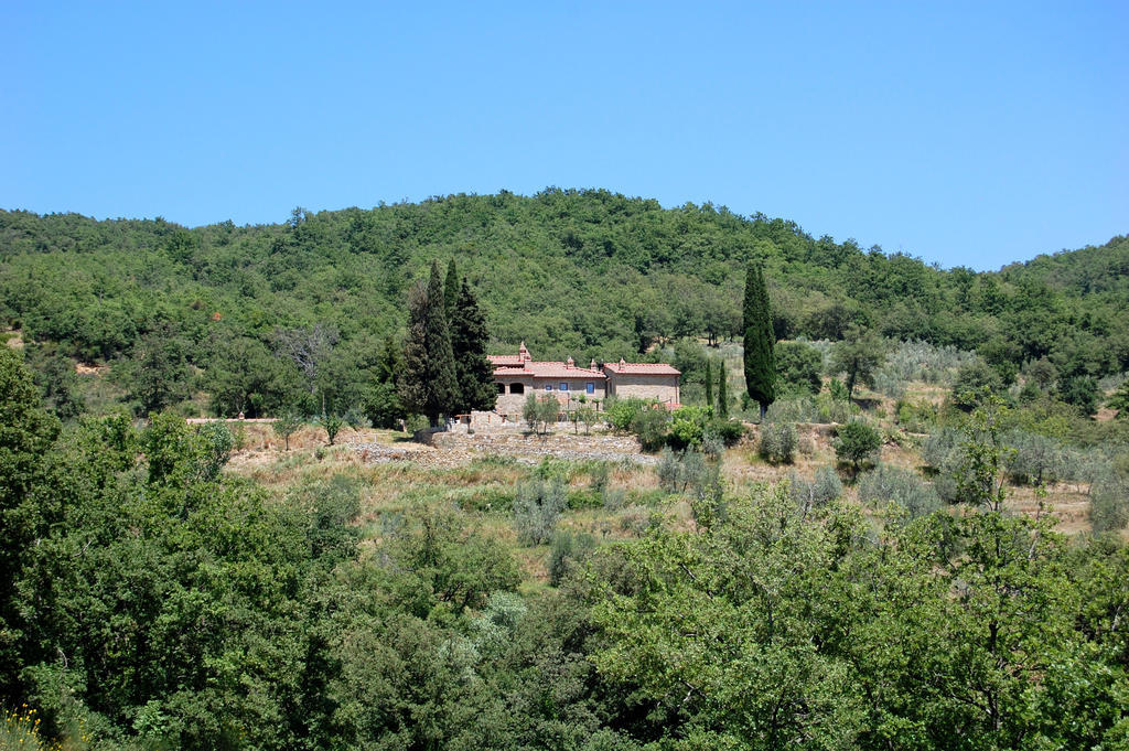 Allegro Agriturismo Argiano Ареццо Экстерьер фото